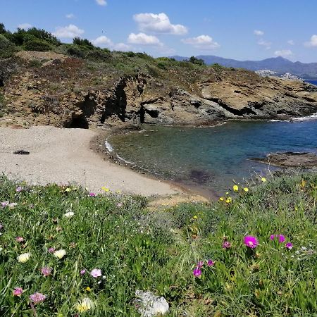 El Port De La Selva Casa Platja D'En Robertヴィラ エクステリア 写真