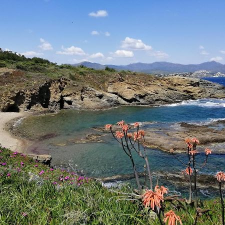 El Port De La Selva Casa Platja D'En Robertヴィラ エクステリア 写真