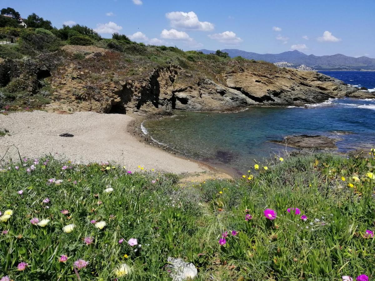 El Port De La Selva Casa Platja D'En Robertヴィラ エクステリア 写真